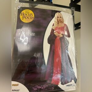 Adul Sarah Sanderson costume/dress- Hocus Pocus